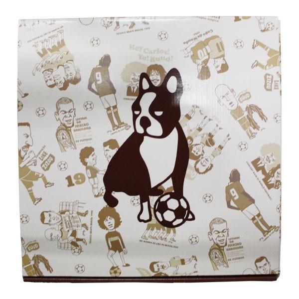 SoccerJunky ArtDeli アートパネル mundo! 30サイズ