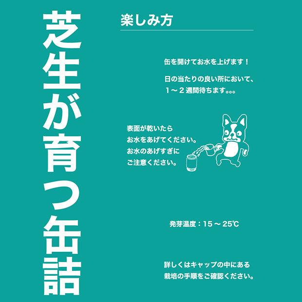 即納 アマルフィの草原 芝生缶 Soccerjunky サッカージャンキー サッカーフットサルアクセサリーsj Cisama Sc Gov Br