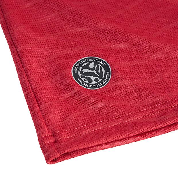 ポルトガル代表 2026 ホーム 長袖レプリカユニフォーム PLAYER　【PUMA|プーマ】ナショナルチームレプリカウェアー788142-77_1