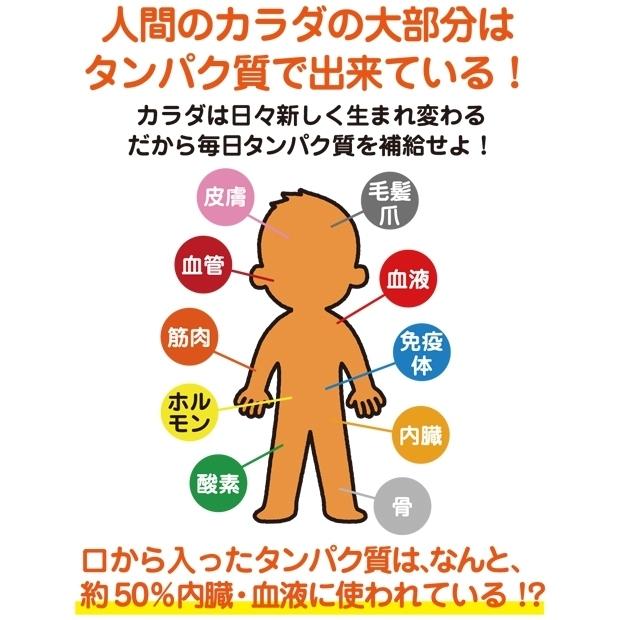 Nobita ソイプロテイン 600g Optieal オプティアル サッカーフットサルサプリメントfd 0002 Fd 0002 Kemarifast Y ショッピング店 通販 Yahoo ショッピング
