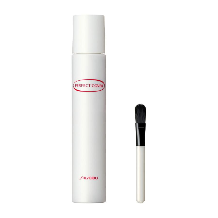 パーフェクトカバー ネコポス 資生堂 コンシーラー ファンデーション