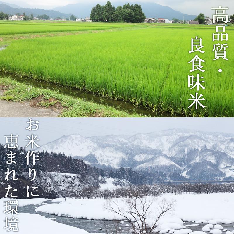 令和7年産 米 5kg 魚沼産コシヒカリ 八海山 お米 新潟米 こしひかり 白米 ギフト 内祝い 送料無料 | コシヒカリ | 03