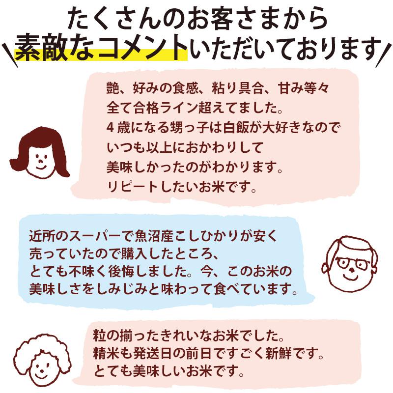 令和7年産 米 5kg 魚沼産コシヒカリ 八海山 お米 新潟米 こしひかり 白米 ギフト 内祝い 送料無料 | コシヒカリ | 05