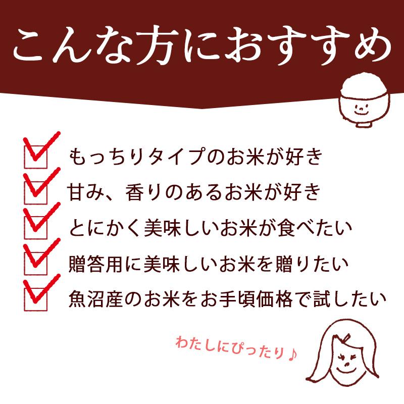 令和7年産 米 5kg 魚沼産コシヒカリ 八海山 お米 新潟米 こしひかり 白米 ギフト 内祝い 送料無料 | コシヒカリ | 06