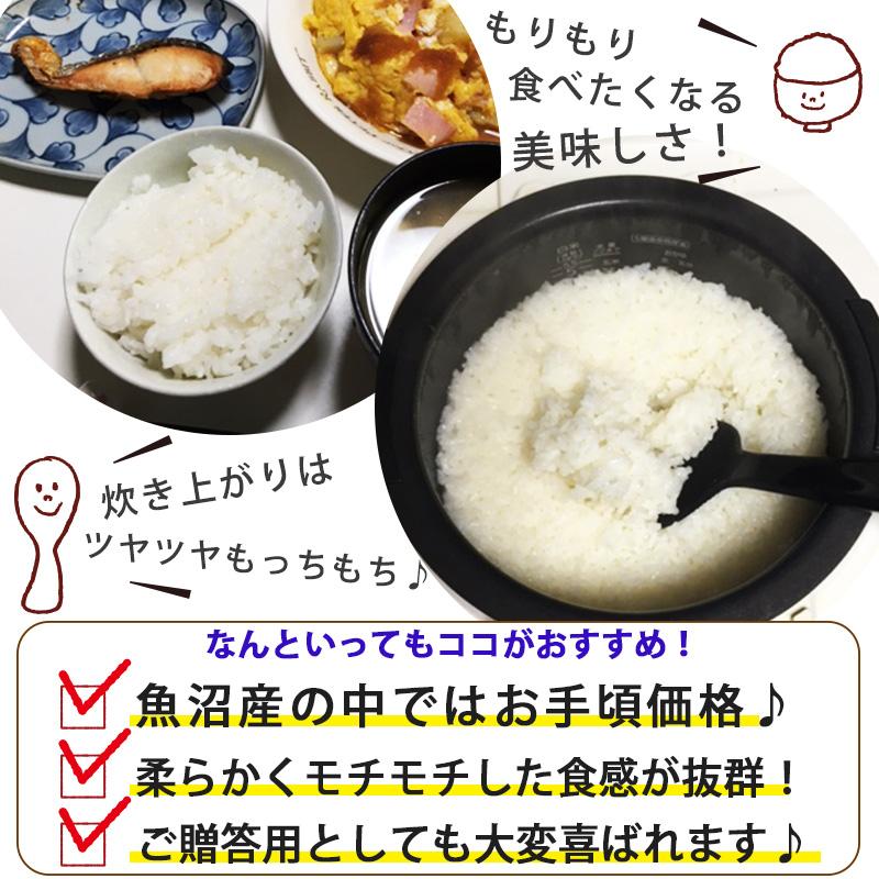 【10月お買い得品】新米 令和8年産 魚沼産コシヒカリ 八海山 10kg(5kg×2) 送料無料 お米 コシヒカリ 新潟米 ブランド米 高級米 銘柄米 白米 精米 ギフト | コシヒカリ | 01