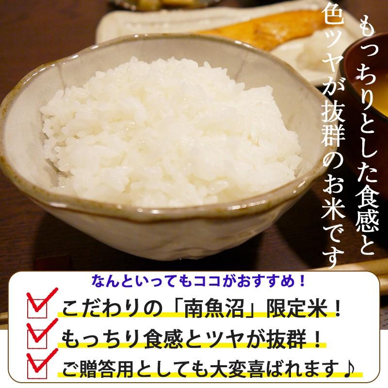 お米 5kg 米物語 南魚沼産コシヒカリ 新潟米 ギフト 内祝い 送料無料｜kenbeishop｜02