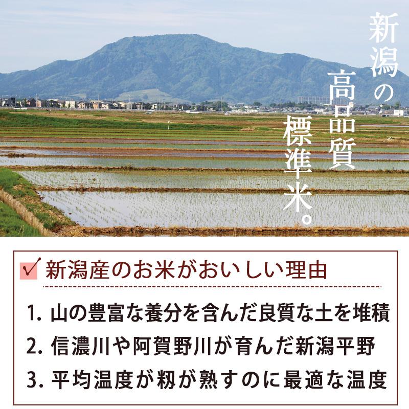 コシヒカリ 【令和7年産】新潟産コシヒカリ 竹人形 5kg 米 お米 送料