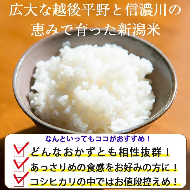 新潟産コシヒカリ 竹人形 20kg 米 お米 20kg(5kg×4) 令和５年産 送料無料 まとめ買い｜kenbeishop｜02