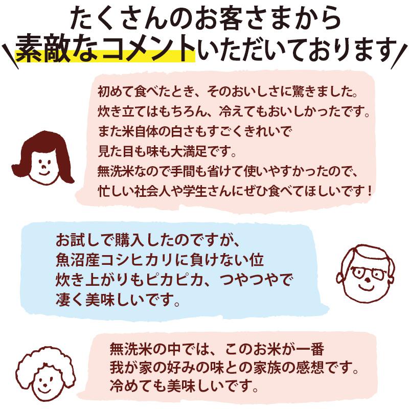 【令和7年産】お米 2kg 無洗米 吟精 新潟産コシヒカリ 送料無料 ギフト 内祝い | コシヒカリ | 05