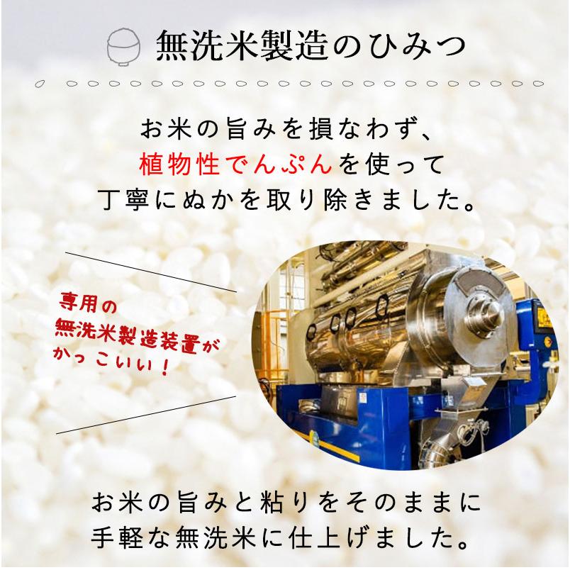 【令和7年産】お米 2kg 無洗米 吟精 新潟産コシヒカリ 送料無料 ギフト 内祝い | コシヒカリ | 07