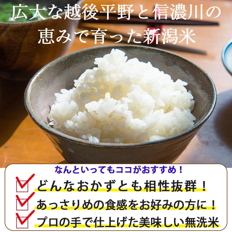 コシヒカリ お米 5kg 送料無料 無洗米 吟精 新潟産コシヒカリ コシヒカリ お米 5kg 送料無料 無洗米 吟精 新潟産コシヒカリ