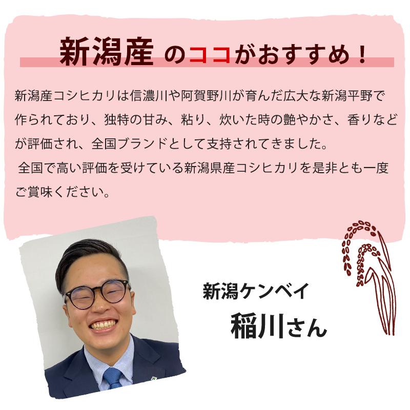 令和5年産 5kg 送料無料 無洗米 吟精 新潟産コシヒカリ ギフト｜kenbeishop｜05