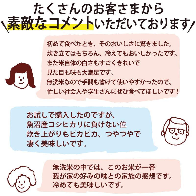 令和5年産 5kg 送料無料 最短翌日配送 無洗米 吟精 新潟産コシヒカリ ギフト｜kenbeishop｜06