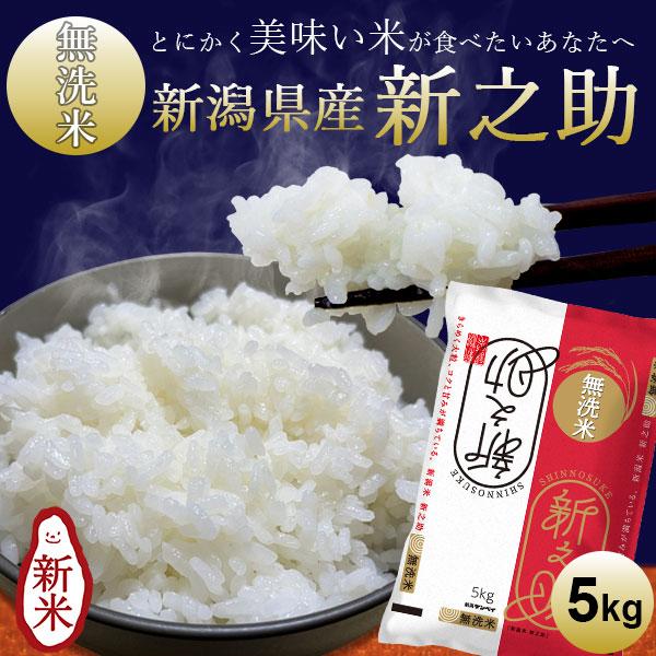 新之助（しんのすけ） 【新米】令和8年産 無洗米 5kg 送料無料 新潟産