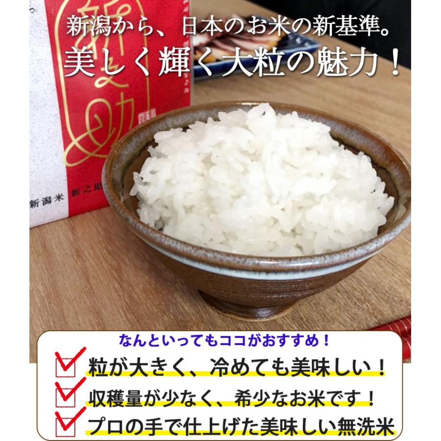 無洗米】令和7年産 新潟新之助 5キロ2個（5kg×2) 色彩選別済☆農家直送