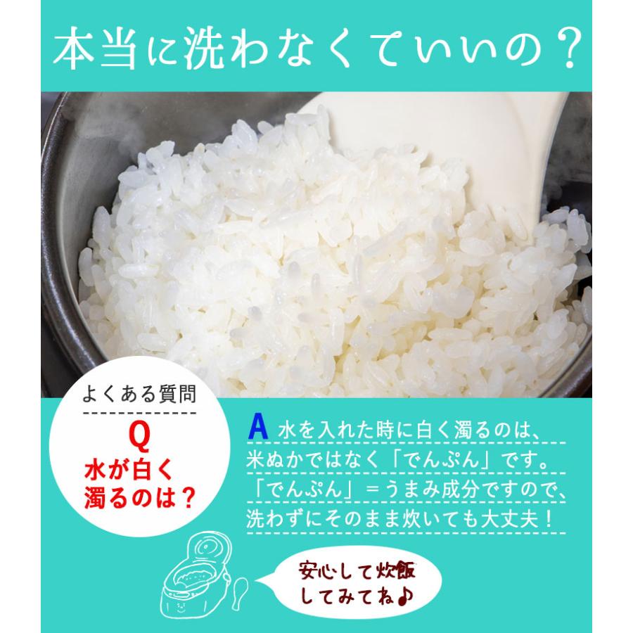 新之助（しんのすけ） お米 5kg 白米【無洗米】新潟産新之助 送料無料