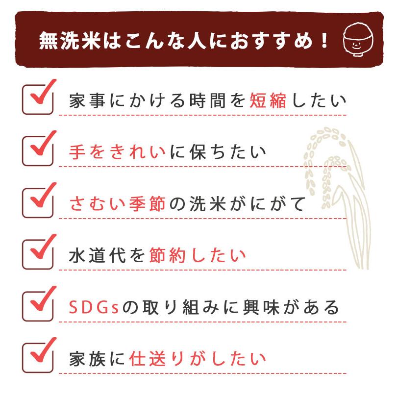 新之助（しんのすけ） 【家計応援！6月のお買い得品】無洗米 5kg 送料