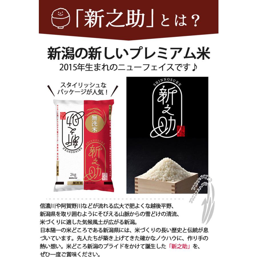 新之助（しんのすけ） 無洗米 20kg(5kg×4) 送料無料 新潟産 令和7年産