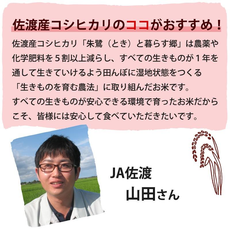 お米 2kg 佐渡産コシヒカリ 特別栽培米 朱鷺と暮らす郷 条件付送料無料 新潟米  ギフト 内祝い｜kenbeishop｜07