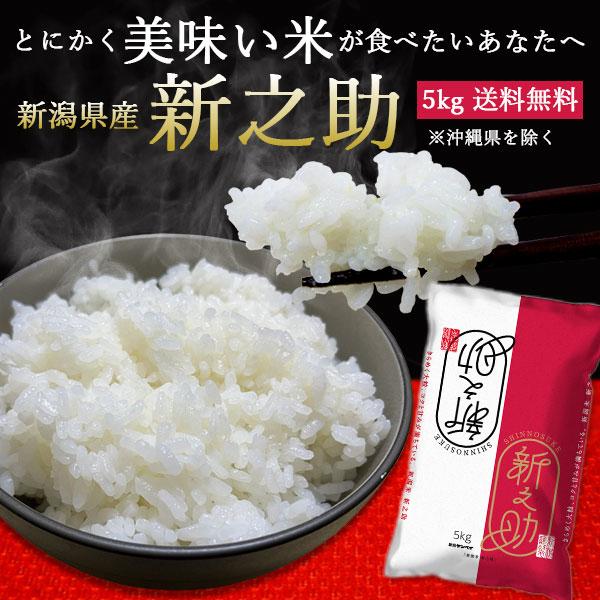 新之助（しんのすけ） 新潟産 5kg 送料無料 令和7年産 お米 コシヒカリ