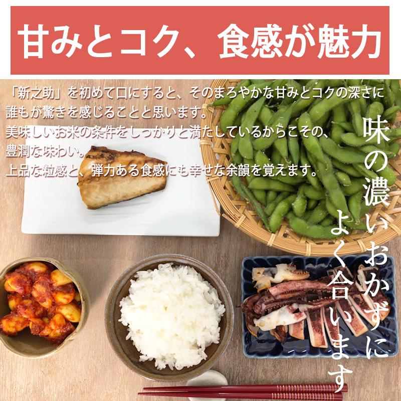 新之助（しんのすけ） 新潟産 5kg 送料無料 令和7年産 お米 コシヒカリ