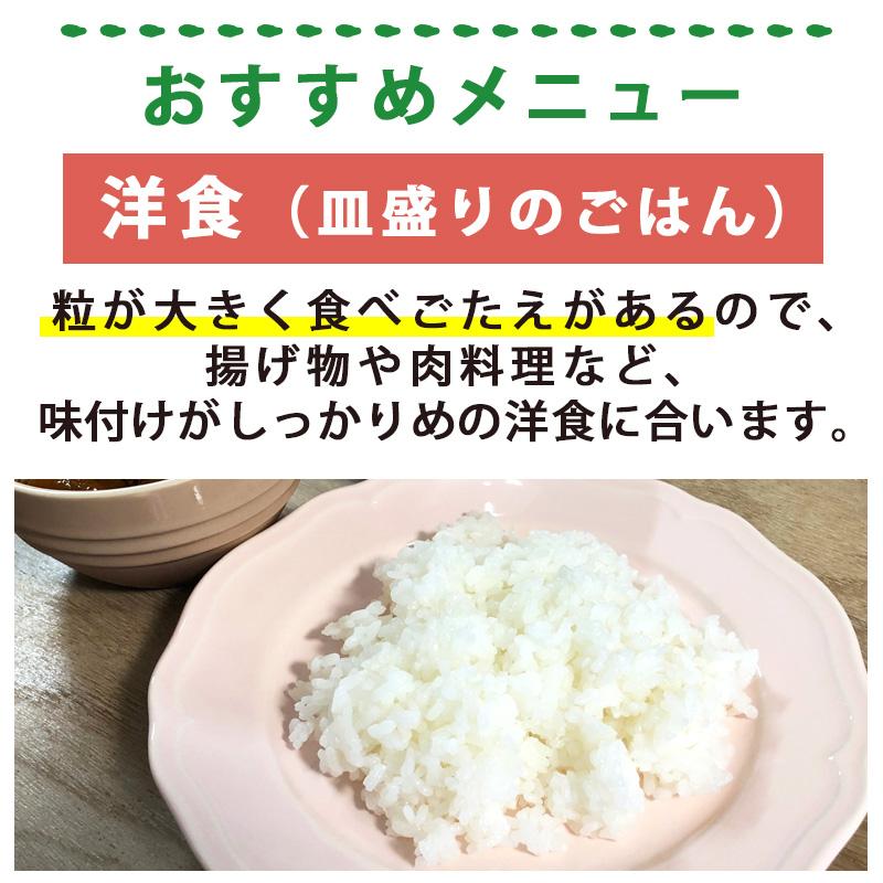 お米 5kg 送料無料 新潟県産つきあかり 令和4年産 新米 お米 白米 自宅用 仕送り 大粒 洋食 白飯 米 安い 格安 :25045005:新潟のお米専門店いなほんぽ - 通販 - Yahoo!ショッピング お米 5kg 送料無料 新潟県産つきあかり 令和4年産 新米 お米 白米 自宅用 仕送り 大粒 洋食 白飯 米 安い 格安 :25045005:新潟のお米専門店いなほんぽ - 通販 - Yahoo!ショッピング