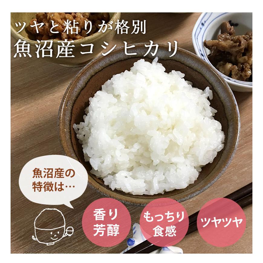 チャンチャン様 コシヒカリ白米40kg 【公式通販】