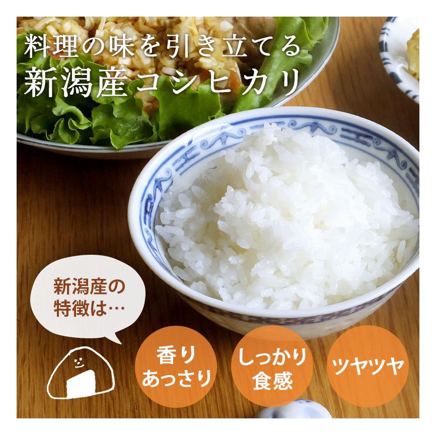 お米 4kg 送料無料 食べ比べ お試し いなほんぽのコシヒカリ選べるセット 4kg(2kg&times;2) プレゼント付 無洗米 精白米 新潟産 魚沼産 令和6年産