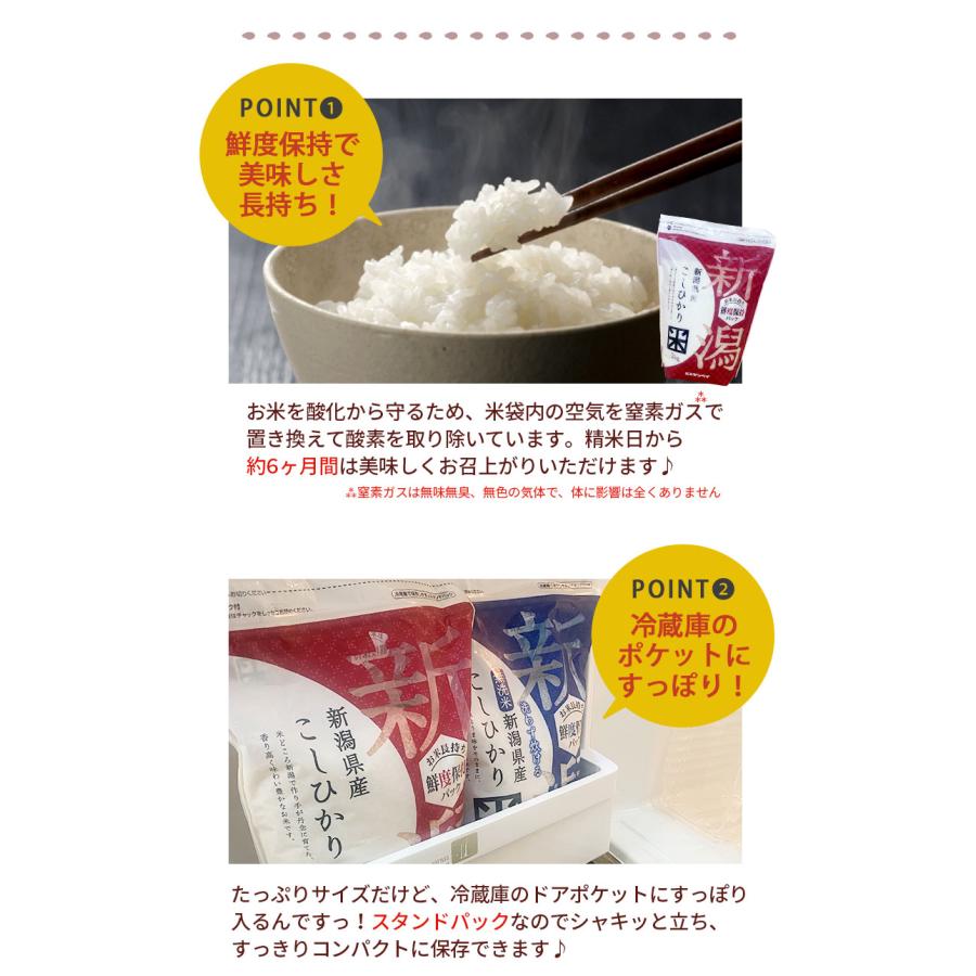 コシヒカリ 送料無料 新潟こしひかり食べ比べBOX(チャック付2kg×2) 令