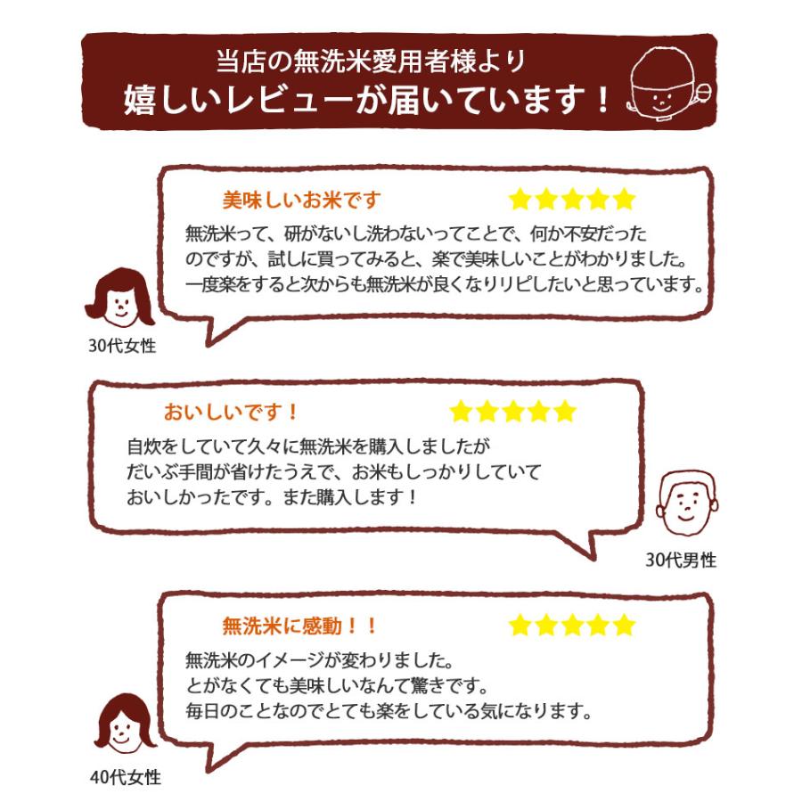 【令和7年産】お米 2kg 無洗米 いなほんぽ米 条件付送料無料 新潟産コシヒカリ  ギフト 内祝い | コシヒカリ | 11