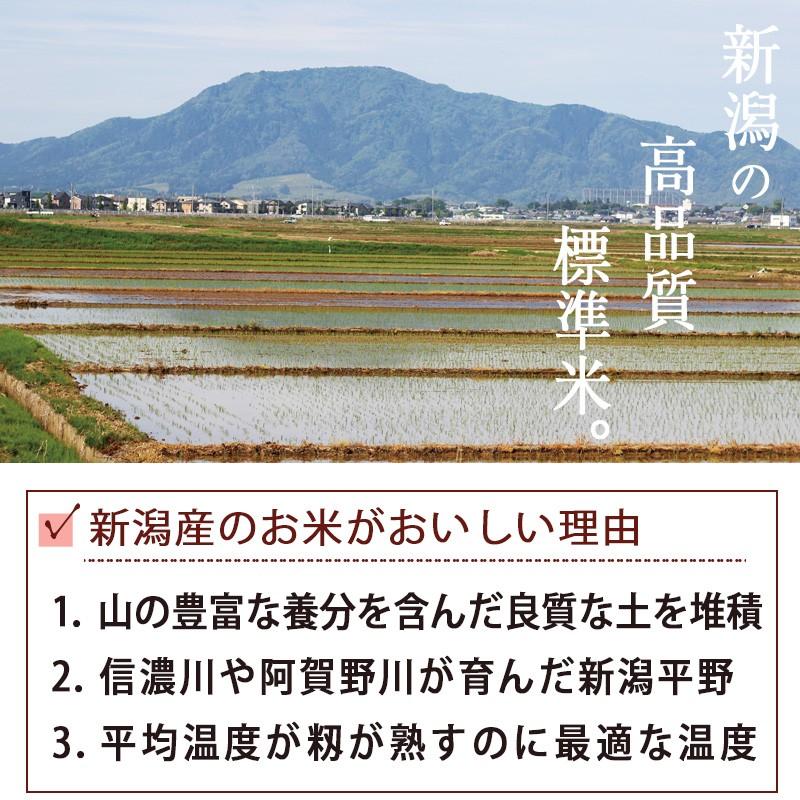 【令和7年産】お米 2kg 無洗米 いなほんぽ米 条件付送料無料 新潟産コシヒカリ  ギフト 内祝い | コシヒカリ | 04