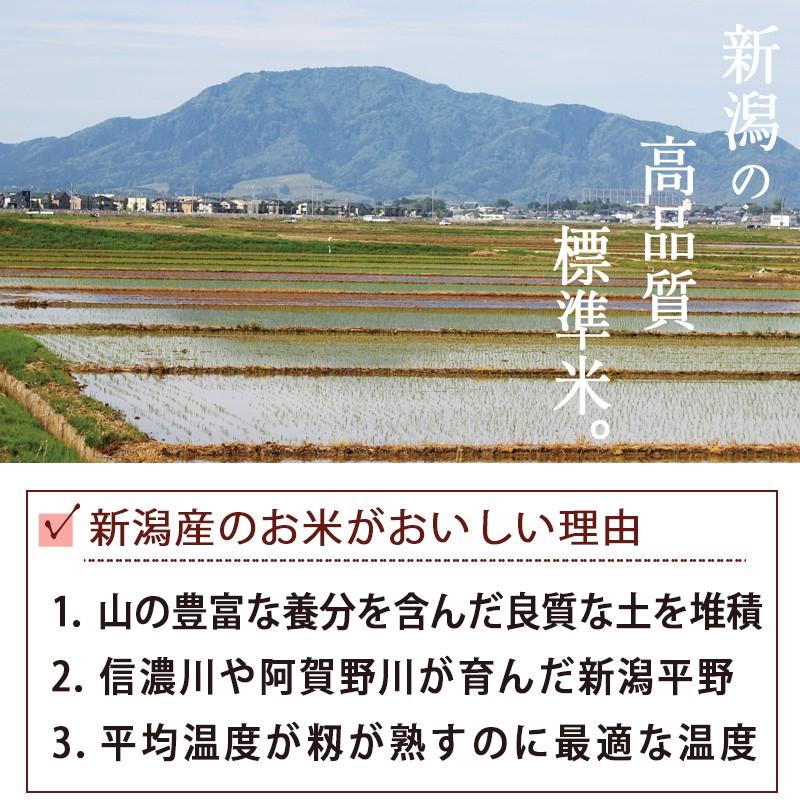 お米 5kg 無洗米 送料無料 いなほんぽ米 新潟産コシヒカリ  ギフト 内祝い｜kenbeishop｜05