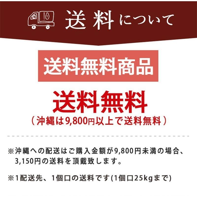 津南高原産 雪下人参ジュース 350ml×12 送料無料 翌日配送 にんじん 野菜 新潟 津南 1ケース ドリンク お歳暮 お中元 | ブランド登録なし | 05