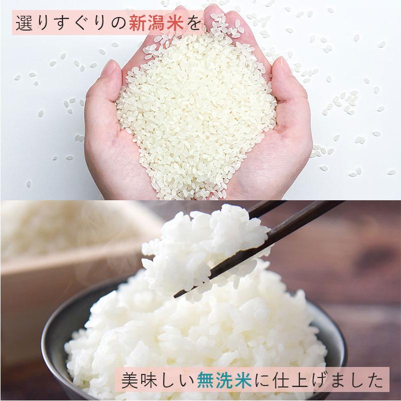 コシヒカリ お米 米 10kg 無洗米 送料無料 いなほんぽオリジナル無洗米
