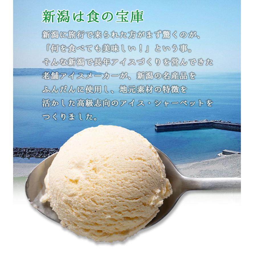 新潟アイスセレクション12個入り｜ アイスクリーム シャーベット 氷菓 送料無料 ギフト セイヒョー