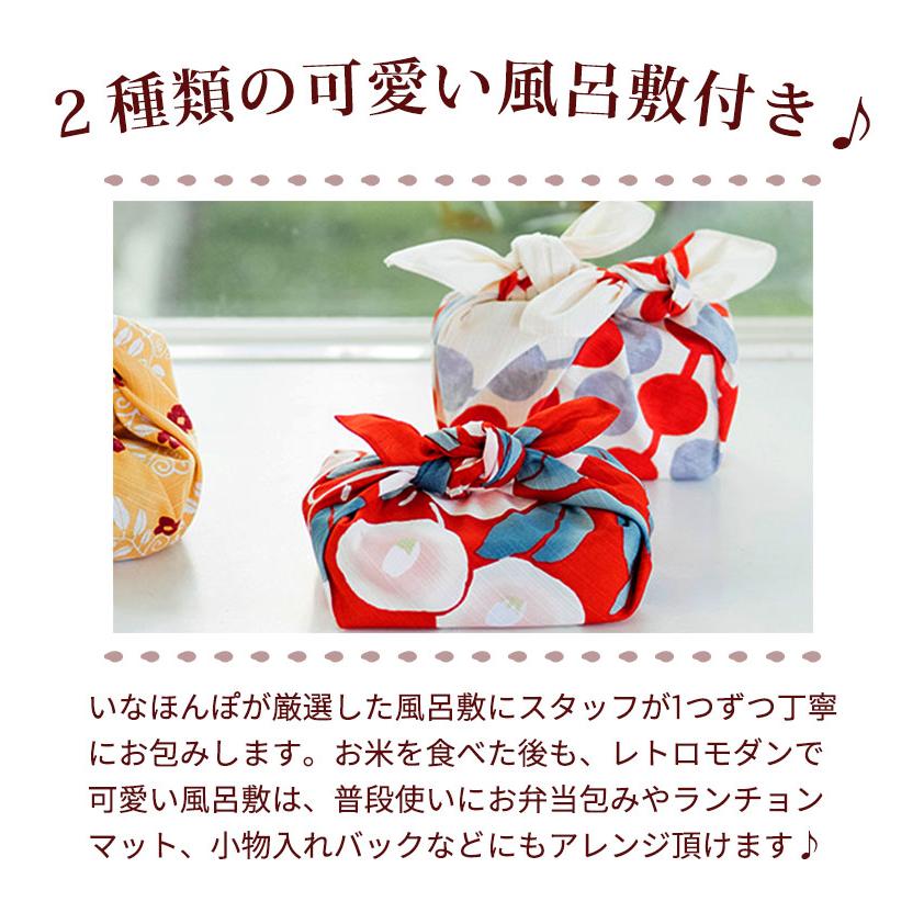 コシヒカリ 令和7年産 送料無料 万福米 -彩2種セット- 真空米2個