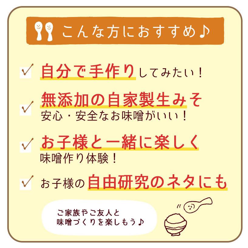 手作り味噌キット 約4kg (タルなし)｜ 送料無料 新潟 えちごいち味噌 無添加 生味噌 米こうじ 初心者 樽なし 手作り キット みそ 大豆 お中元｜kenbeishop｜04