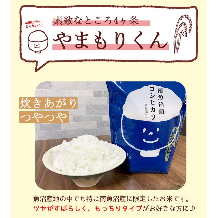 コシヒカリ お米 米 3.6kg (900g×4) 魚沼産コシヒカリ 令和6年産 コシヒカリ お米 米 3.6kg (900g×4) 魚沼産コシヒカリ 令和6年産