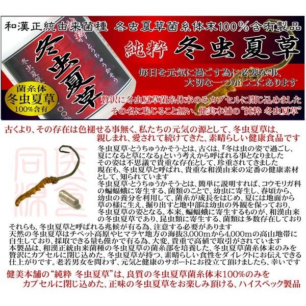 和漢正統菌種 冬虫夏草菌糸体末100％の拘りの上物 “純粋 冬虫夏草