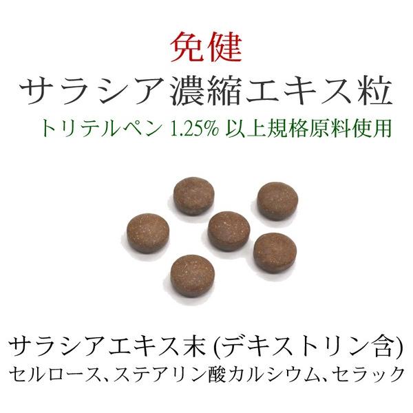 糖に勝つ 免健 サラシア濃縮エキス粒 1粒に正味250mg含有 90粒