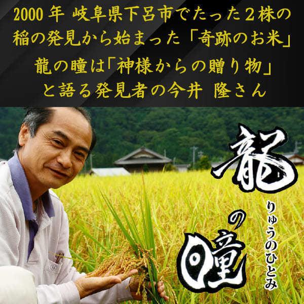 龍の瞳 いのちの壱 4kg （2kg×2袋） 令和7年産米 岐阜県産 白米 送料無料 一部地域除く_2