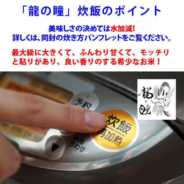 龍の瞳 いのちの壱 4kg （2kg×2袋） 令和7年産米 岐阜県産 白米 送料無料 一部地域除く_6