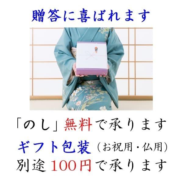 龍の瞳 いのちの壱 4kg （2kg×2袋） 令和7年産米 岐阜県産 白米 送料無料 一部地域除く_7