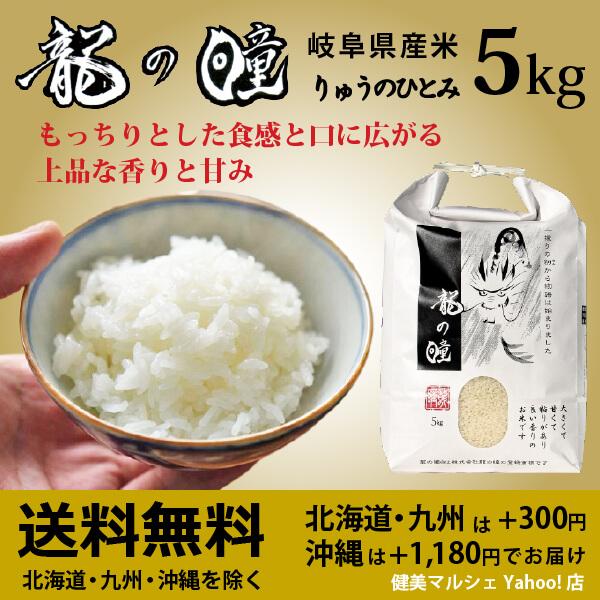 龍の瞳 いのちの壱 5kg 令和7年産米 岐阜県産 白米  送料無料 一部地域除く（Yahoo!・健美マルシェ）