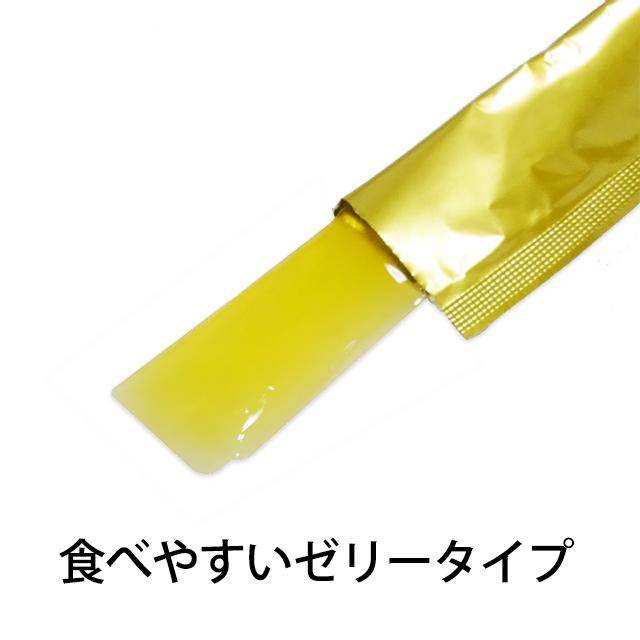 糖鎖(とうさ) 生ゼリータイプ 240g (5g×48包) おまけ付き (送料無料  