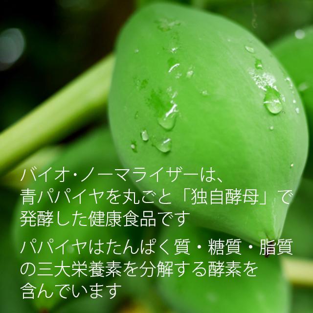 青パパイヤ酵素 バイオ・ノーマライザー 30包 バイオノーマライザー 青