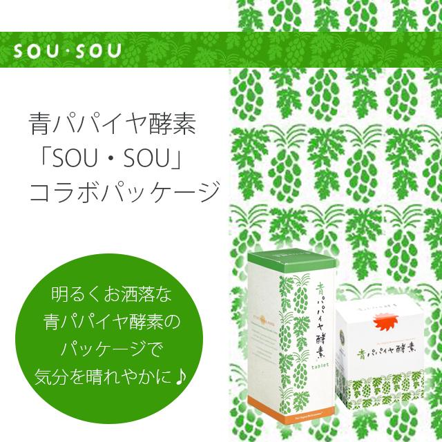 青パパイヤ酵素 バイオ・ノーマライザー 30包 バイオノーマ