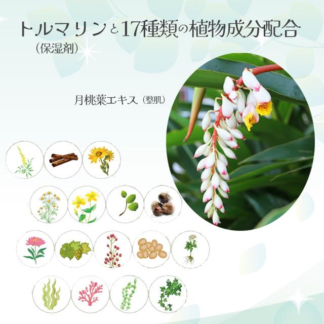 ビセキ ローション（化粧水） 180ml : 健康美容ショップ健美 - 通販