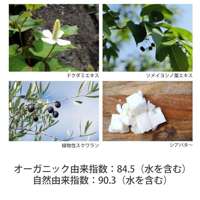 RINGO GEL CREAM リンゴゲルクリーム オールインワンゲルクリーム