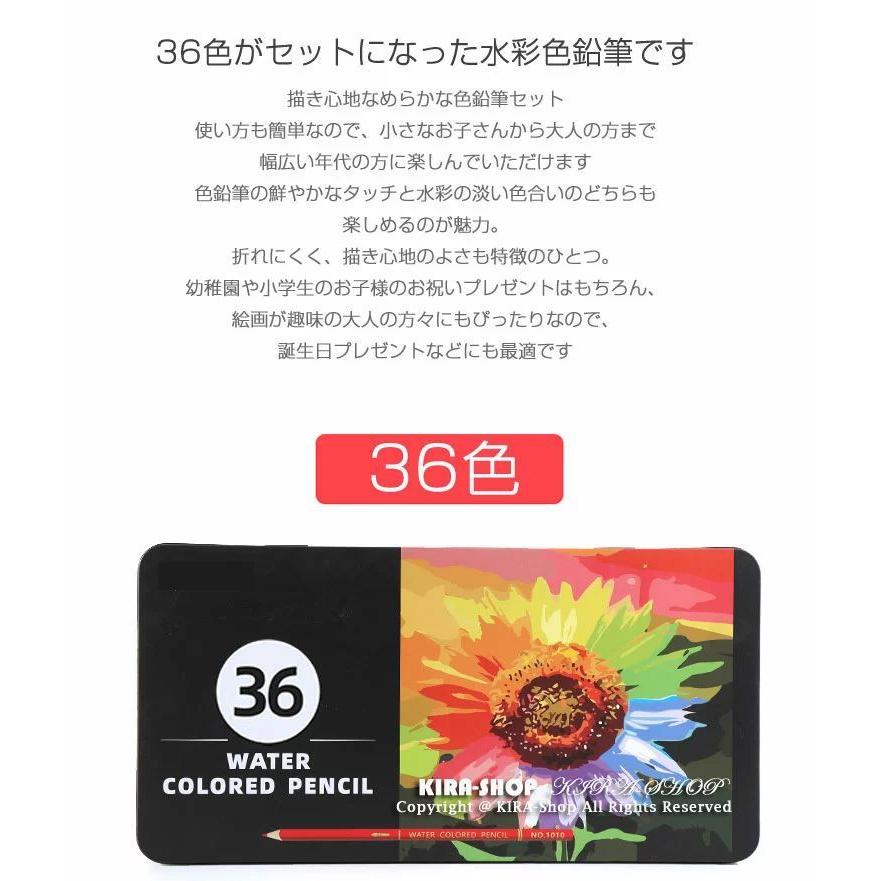 36色セット 色鉛筆 カラーペン 水溶性色鉛筆 カラー セット 色えんぴつ 絵の具 アート鉛筆 スケッチ用 プレゼント 水彩色鉛筆 収納ケース ギフト 文房具 塗り絵 長袖 全国総量無料で Www Ageti Fr
